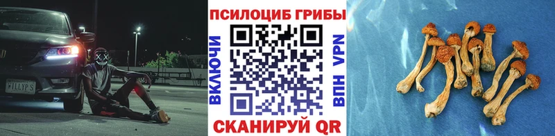 гидра ссылка  Белёв  Галлюциногенные грибы Cubensis 